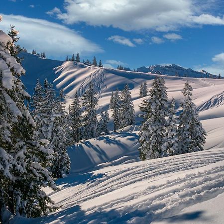 Appartement A La Montagne Champéry Dış mekan fotoğraf